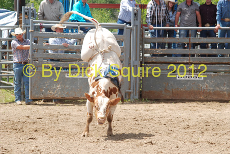 Pine City Bulls 12 017