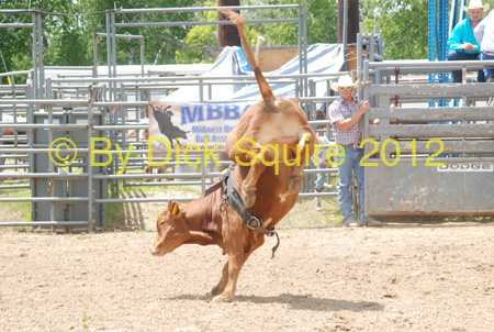 Pine City Bulls 12 022