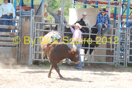 Pine City Bulls 12 039