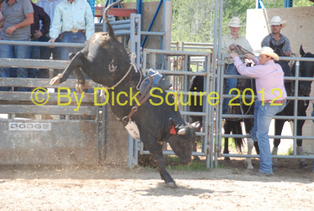 Pine City Bulls 12 041