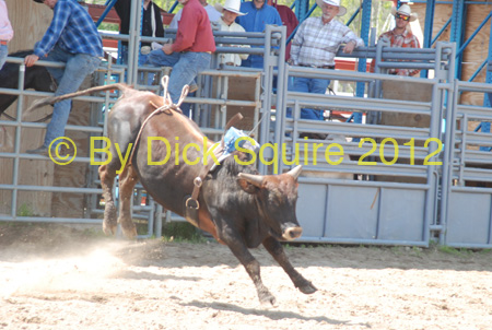 Pine City Bulls 12 044