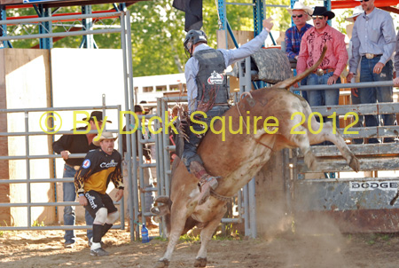 Pine City Bulls 12 057