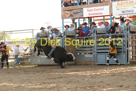 Pine City Bulls 12 063