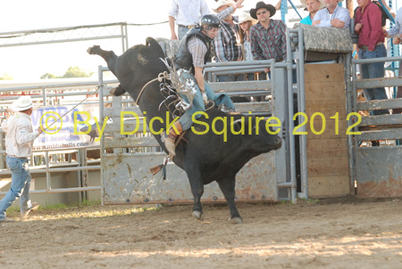 Pine City Bulls 12 065