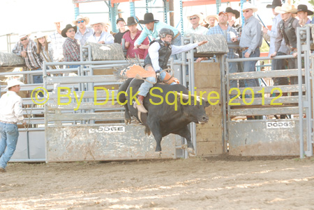 Pine City Bulls 12 069