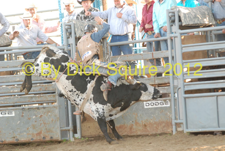 Pine City Bulls 12 076