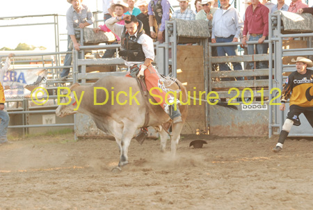 Pine City Bulls 12 092