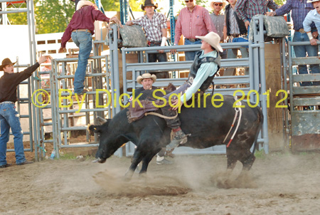 Pine City Bulls 12 093