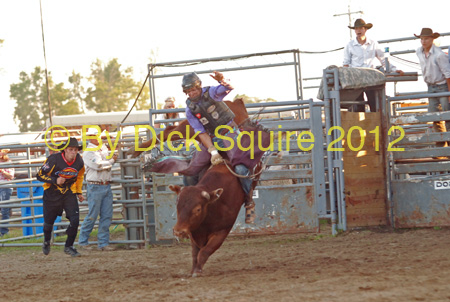 Pine City Bulls 12 097