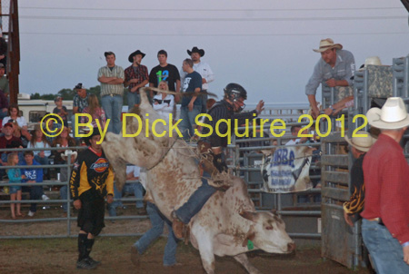 Pine City Bulls 12 107