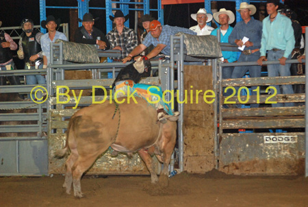 Pine City Bulls 12 126