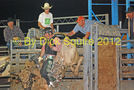 Pine City Bulls 12 127