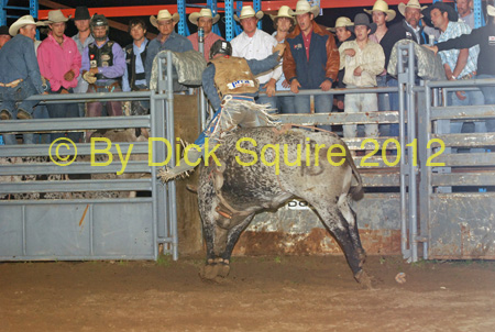 Pine City Bulls 12 129