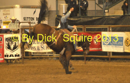 Brookings 13 023