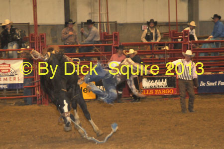 Brookings 13 029