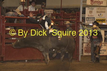 Brookings 13 183