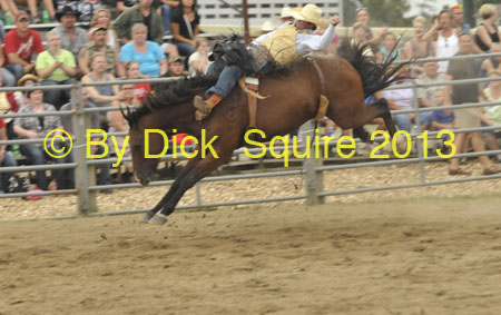 Pine City 13 008