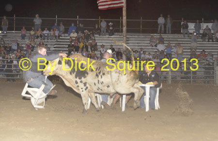 Pine City 13 065