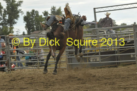 Pine City 13 088