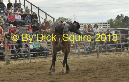 Pine City 13 093