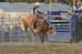 Waconia 13 022