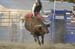 Waconia 13 025