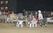 Waconia 13 061