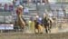 Waconia 13 106