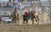 Waconia 13 107