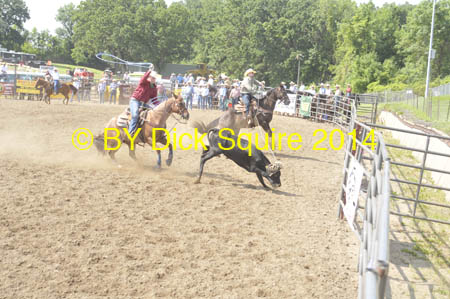 Hamel 14 063
