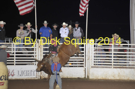 Medford 14 206