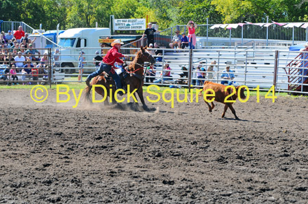 No. Field 14 023_edited-1-1