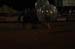 WAC_0164