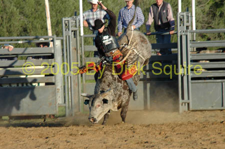 Glenwood City, 05 006