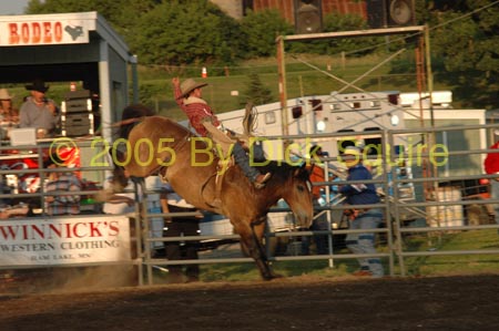 Hamel  2005 008