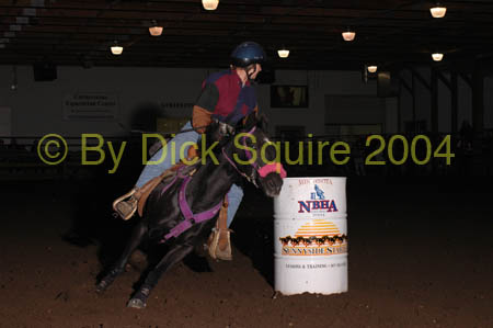 Mn. NBHA Finals, 04 331