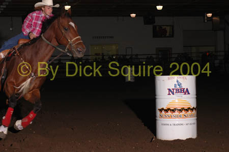 Mn. NBHA Finals, 04 341