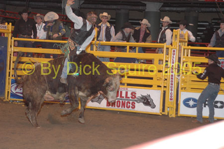 St.Paul Bulls&Broncs 05 025