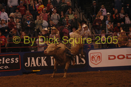 St.Paul Bulls&Broncs 05 055