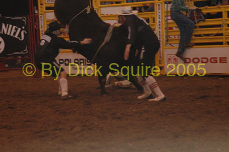 St.Paul Bulls&Broncs 05 071