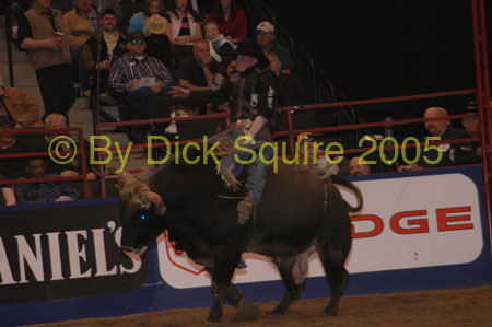 St.Paul Bulls&Broncs 05 073
