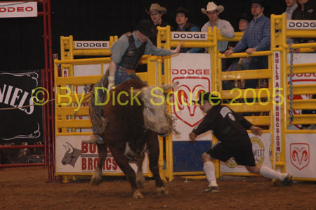 St.Paul Bulls&Broncs 05 077