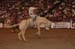 St.Paul Bulls&Broncs 05 066